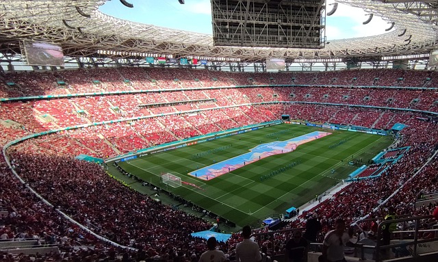 通过对萨拉 通过对萨拉