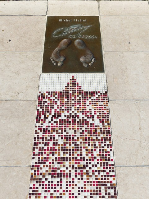 不可或缺的 不可或缺的