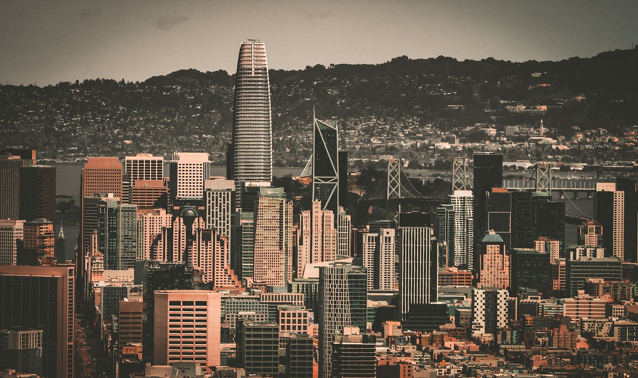 文化消费的 文化消费的