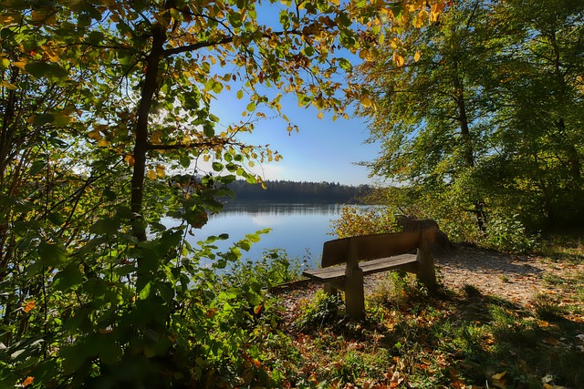 归不仅具有 归不仅具有