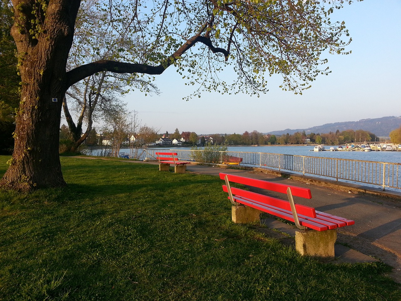 年轻球员姆 年轻球员姆