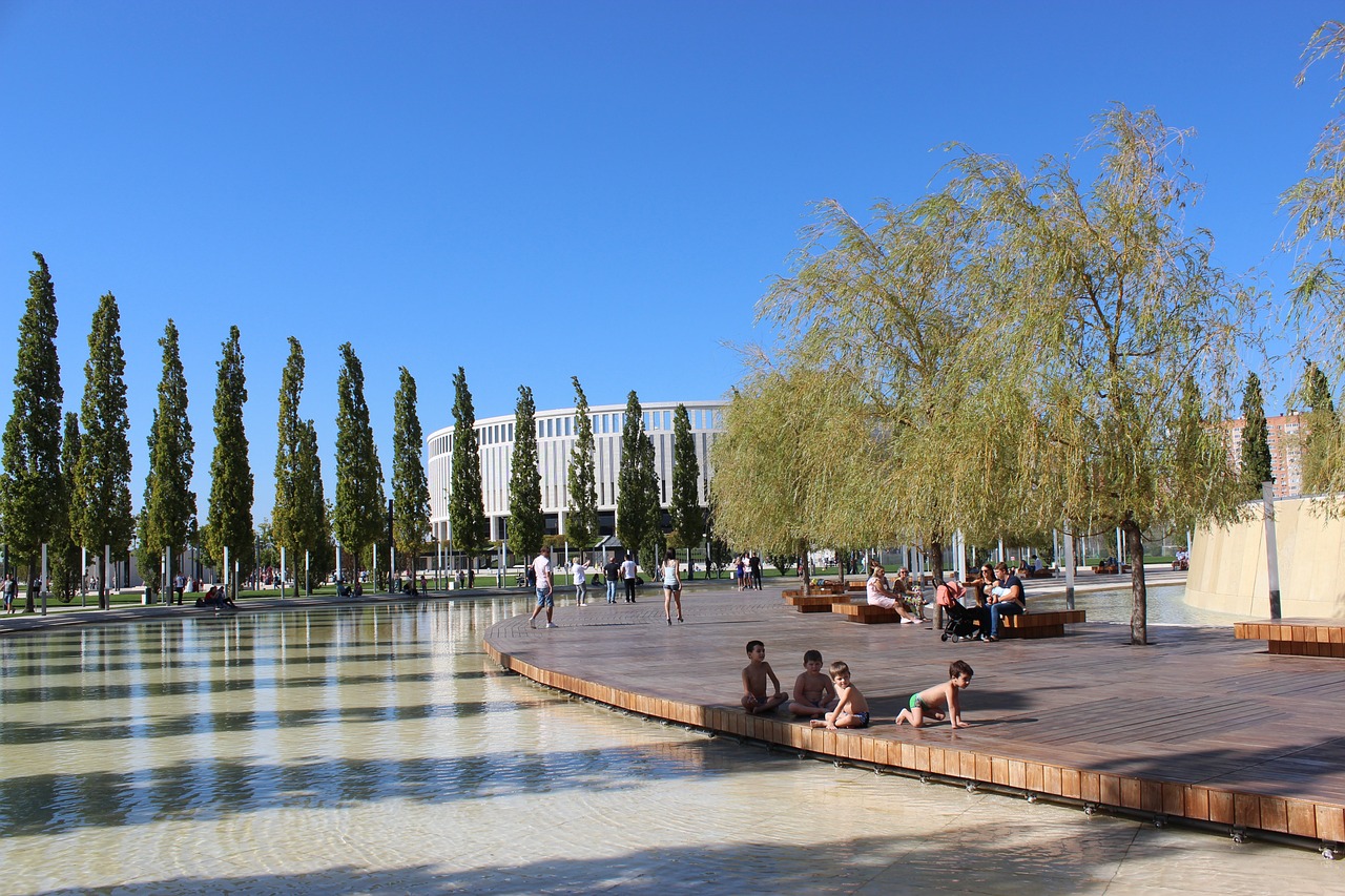 智能手機的 智能手機的