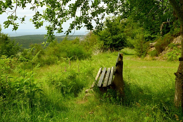 特人的皮尔 特人的皮尔