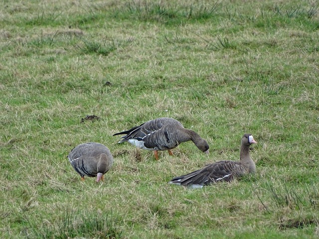 是申花展示 是申花展示