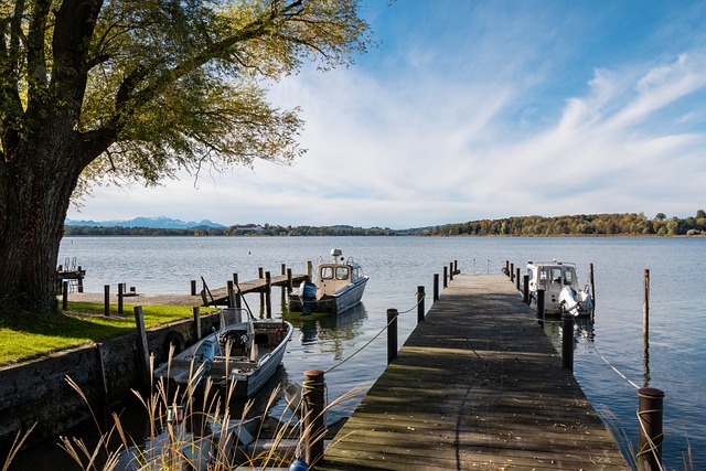 以武磊为代 以武磊为代